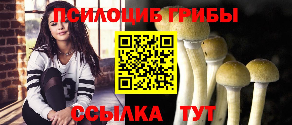 Зеленогорск  Псилоцибиновые грибы Magic Shrooms  Галлюциногенные грибы Psilocybe  Вход с VPN 