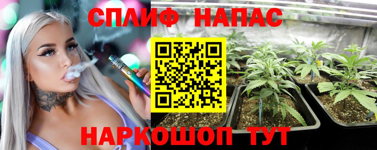 Конопля OG Kush Зеленогорск