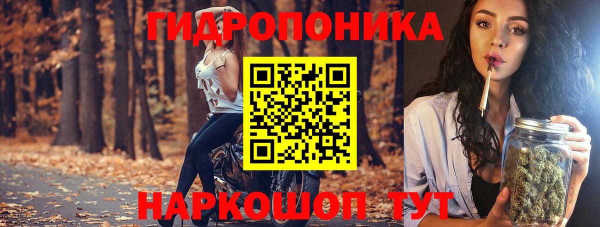 Бошки марихуана AK-47  МАРИХУАНА марихуана  Вход с VPN  Марихуана White Widow  Каннабис SATIVA & INDICA  Зеленогорск 